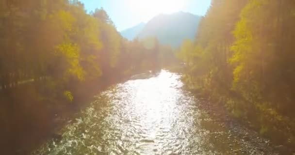 Volo a bassa quota sul fresco fiume di montagna veloce con rocce al soleggiato mattino d'estate. — Video Stock