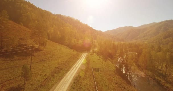 Vol à basse altitude au-dessus d'une rivière de montagne fraîche et rapide avec des rochers au soleil matin d'été. — Video