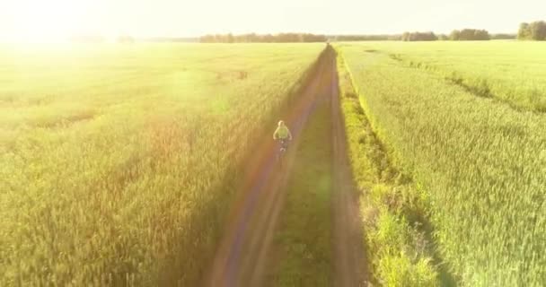 Aerial view on young boy, that rides a bicycle thru a wheat grass field on the old rural road. Sunlight and beams. — Stock Video