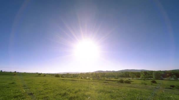 4K UHD montaña prado timelapse en el verano. Nubes, árboles, hierba verde y rayos de sol movimiento. — Vídeo de stock
