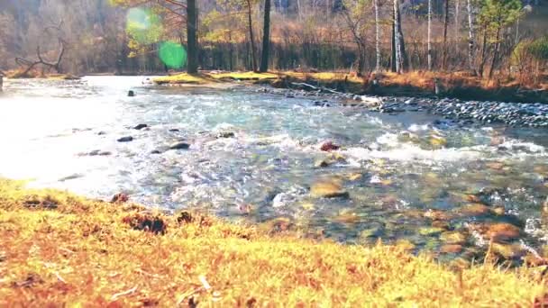 Dolly slider shot of the splashing water in a mountain river near forest. Rochers humides et rayons du soleil. Mouvement horizontal régulier. — Video