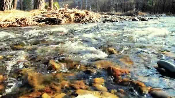 Ползунок Долли с брызгами воды в горной реке возле леса. Влажные камни и солнечные лучи. Горизонтальное устойчивое движение. — стоковое видео