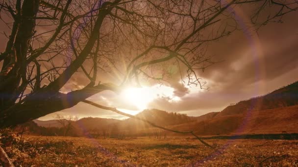 Time lapse of death tree and dry yellow grass at mountian landscape with clouds and sun rays. Movimiento deslizante horizontal — Vídeos de Stock