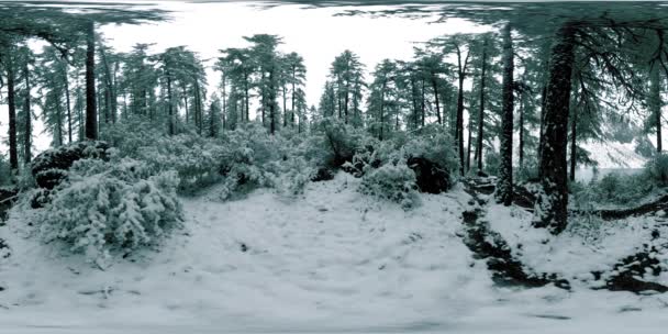 Lago di montagna 360 vr al momento invernale. Natura selvaggia e valle del monte. Bosco verde di pini e nuvole veloci sul cielo . — Video Stock