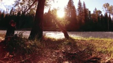 Dağ nehri kıyısındaki çayır. Yeşil çimlerle, çam ağaçlarıyla ve güneş ışınlarıyla kaplı bir manzara. Motorlu kaydırma kulesinde hareket.