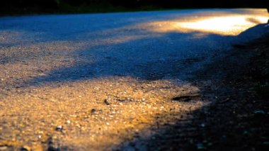 Asfalt yolda koşan sporcu. Kırsal şehir parkı. Yeşil ağaç ormanı ve ufukta güneş ışığı.