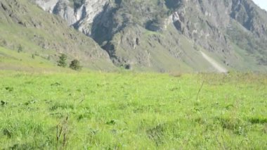Sırt çantası ile yeşil dağ çayır üzerinde yürüyen adam hiking. Yaz spor ve eğlence kavramı.