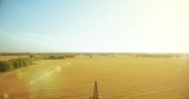 Verticale bewegingsvlucht in de buurt van hoogspanningstoren en hoogspanningsleidingen op groen en geel veld — Stockvideo