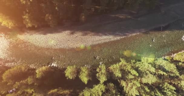 Vol en vol au-dessus d'une rivière de montagne fraîche et propre au matin ensoleillé d'été. Mouvement vertical — Video