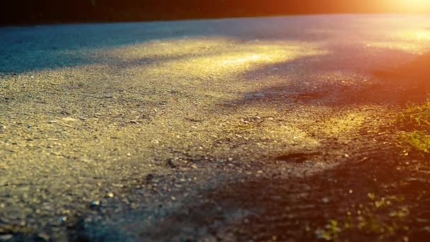 Un uomo sportivo che corre sulla strada asfaltata. Parco urbano rurale. Bosco alberato verde e raggi di sole all'orizzonte. — Video Stock