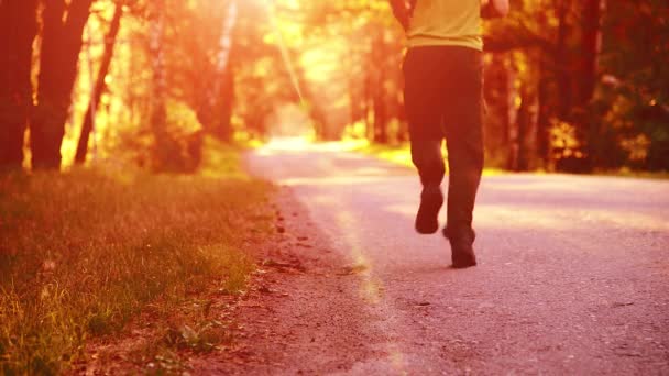 Sport man running at asphalt road. Rural city park. Green tree forest and sun rays on horizon. — Stock Video