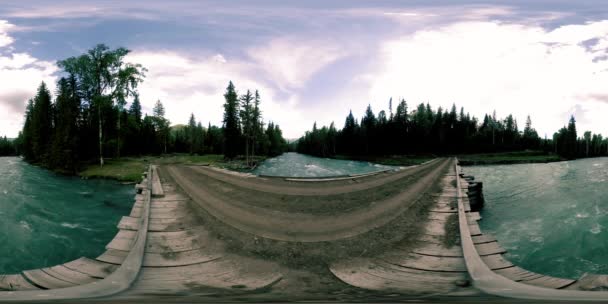 360 VR realidad virtual de un bosque salvaje. Bosque de pinos, pequeño río de montaña rápido y frío. Parque Nacional. — Vídeo de stock