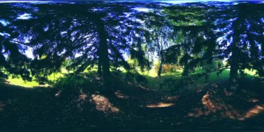 Bir şehir parkının UHD 4K 360 VR Sanal Gerçekliği. Sonbaharda ya da yaz gününde ağaçlar ve yeşil çimenler