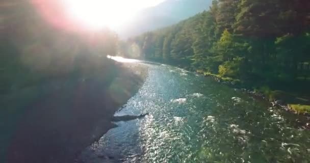 Vôo de ar médio sobre o rio de montanha fresco e limpo na manhã de verão ensolarada — Vídeo de Stock