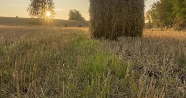 Piano collina prato timelapse all'ora del tramonto estivo. Natura selvaggia e pagliai rurali sul campo di erba. Raggi di sole e alberi verdi. Dispositivo di scorrimento carrello motorizzato — Video Stock