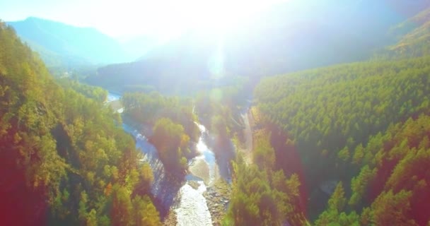 Mittlerer Luftflug über frischem Gebirgsfluss und Wiese am sonnigen Sommermorgen. Schotterpiste unten. — Stockvideo