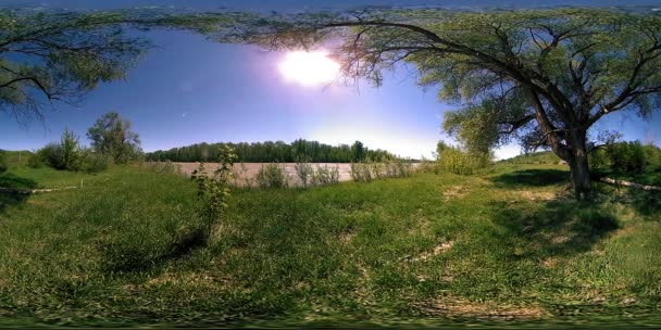 UHD 4k 360 Vr Virtual Reality van een rivier stroomt over rotsen in het prachtige berglandschap van de bos — Stockvideo