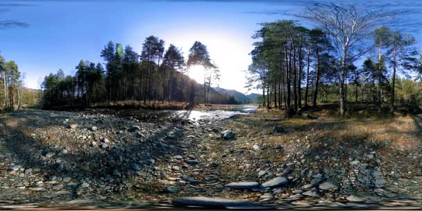 360 VR realtà virtuale di una montagna selvaggia, pineta e fiumi scorre. Parco nazionale, prato e raggi del sole. — Video Stock