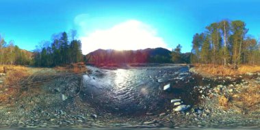 Vahşi dağların, çam ormanlarının ve nehir akışlarının 360 VR sanal gerçekliği. Ulusal park, çayır ve güneş ışınları.