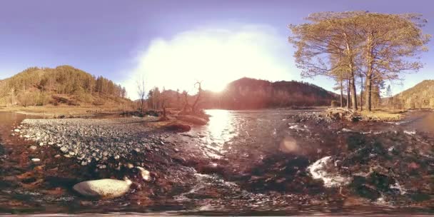 360 VR réalité virtuelle d'une montagne sauvage, pinède et rivière coule. Parc national, prairie et rayons du soleil. — Video