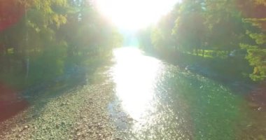 Güneşli yaz sabahında kayalarla birlikte taze, hızlı dağ nehri üzerinde alçak irtifa uçuşu..