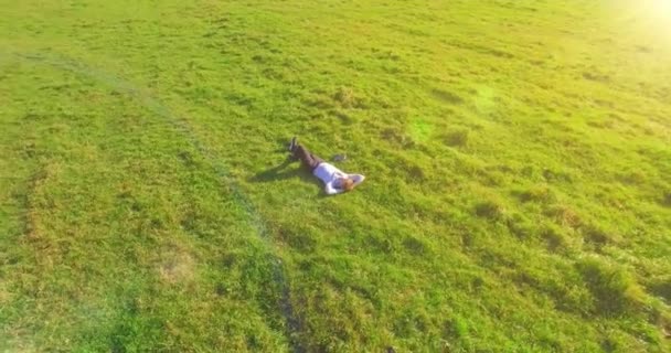 Vol orbital bas autour de l'homme sur herbe verte avec bloc-notes au champ rural jaune. — Video