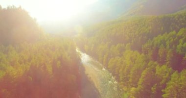 Güneşli yaz sabahında kayalarla birlikte taze, hızlı dağ nehri üzerinde alçak irtifa uçuşu..