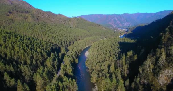 Volo a bassa quota sul fresco fiume di montagna veloce con rocce al soleggiato mattino d'estate. — Video Stock