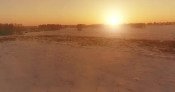 Flygdrönare syn på kallt vinterlandskap med arktiska fält, träd täckta med frost snö och morgonsol strålar över horisonten. — Stockvideo