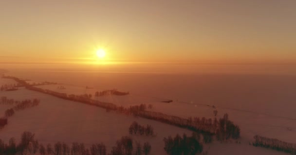 Vue aérienne par drone du paysage hivernal froid avec champ arctique, arbres couverts de neige verglaçante et rayons du soleil matinaux au-dessus de l'horizon. — Video