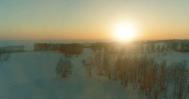 Воздушный беспилотник с видом на холодный зимний пейзаж с арктическим полем, деревья, покрытые морозным снегом и утренние солнечные лучи над горизонтом. — стоковое видео