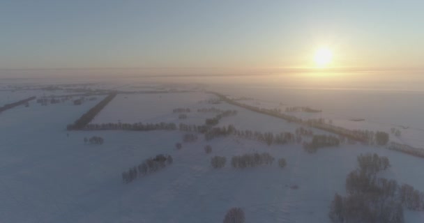 Drohnenaufnahme der kalten Winterlandschaft mit arktischem Feld, Bäumen mit Frostschnee und Morgensonnenstrahlen über dem Horizont. — Stockvideo