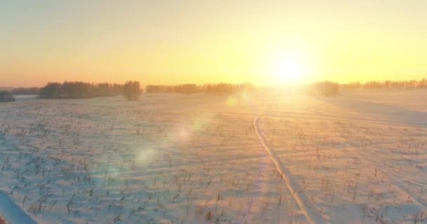 北極のフィールドと寒い冬の風景の空中ドローンビュー、水平線上に霜雪と朝の太陽光線で覆われた木. — ストック動画