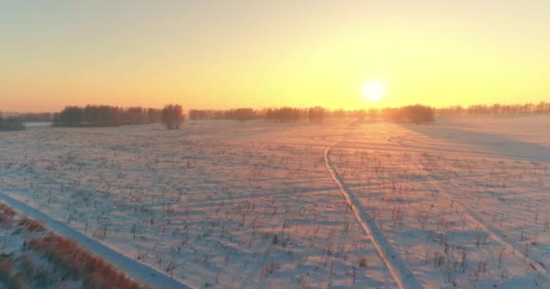 Повітряний безпілотник вид на холодний зимовий пейзаж з арктичним полем, дерева, покриті морозним снігом і ранковими променями сонця над горизонтом . — стокове відео