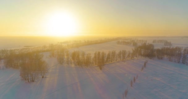 Vista aérea de drones del frío paisaje invernal con campo ártico, árboles cubiertos de nieve helada y rayos de sol matutinos sobre el horizonte. — Vídeo de stock