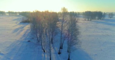 Arktik çayırlı soğuk kış manzarası, karla kaplı ağaçlar ve ufukta sabah güneşleri..