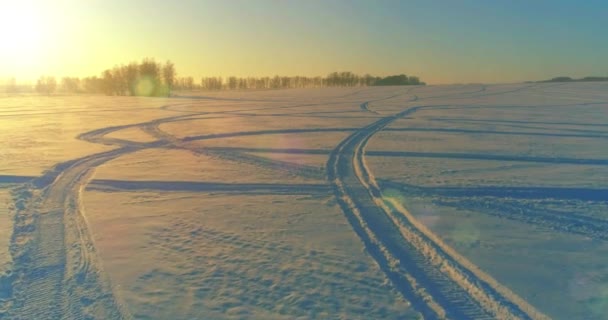 Vista aérea do drone da paisagem fria do inverno com campo ártico, árvores cobertas com neve da geada e raios do sol da manhã sobre o horizonte. — Vídeo de Stock