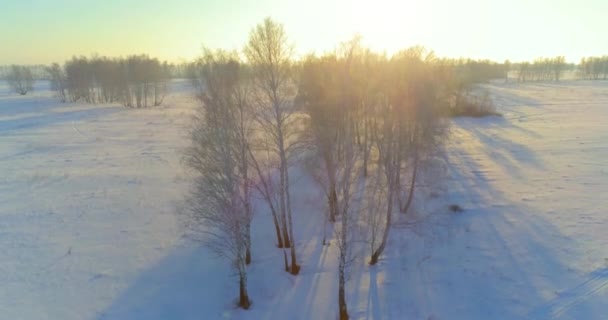 Vista aérea de drones del frío paisaje invernal con campo ártico, árboles cubiertos de nieve helada y rayos de sol matutinos sobre el horizonte. — Vídeo de stock