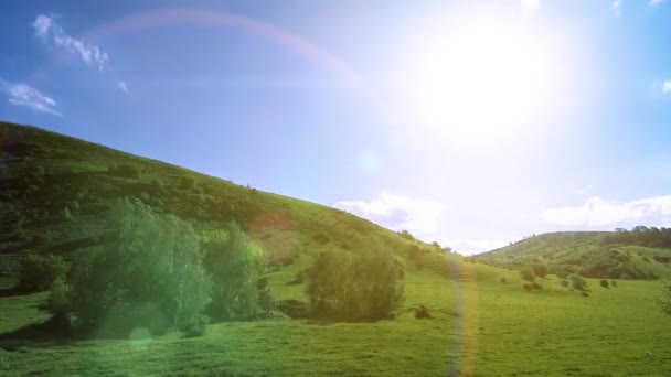 Timelapse de prairie de montagne à l'été. Nuages, arbres, herbe verte et mouvement des rayons du soleil. — Video