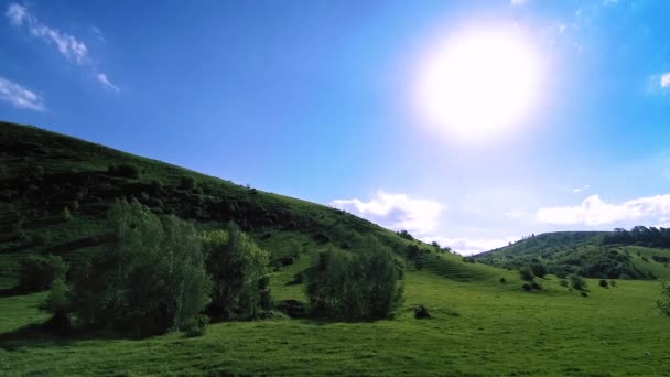 4K UHD prairie de montagne timelapse à l'été. Nuages, arbres, herbe verte et mouvement des rayons du soleil.