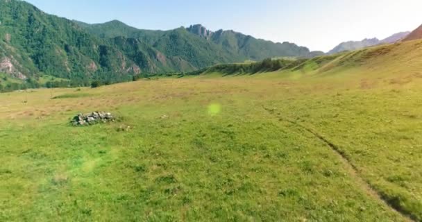 Flucht über Wildpferde auf der Weide. Frühling Berge wilde Natur. Freiheits-Ökologiekonzept. — Stockvideo