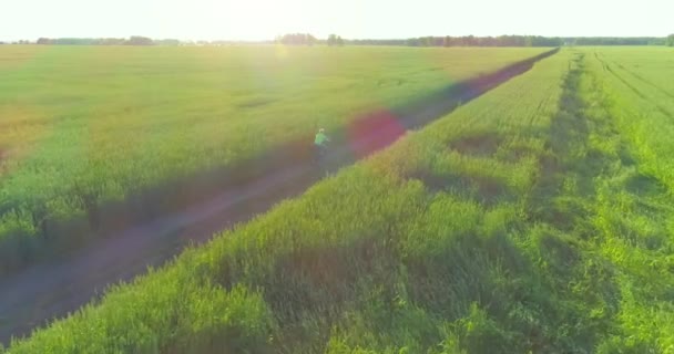 Luchtfoto op jonge jongen, die rijdt op een fiets door een graan grasveld op de oude landelijke weg. Zonlicht en stralen. — Stockvideo