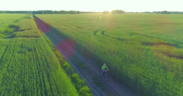 Vue aérienne sur le jeune garçon, qui monte à vélo à travers un champ d'herbe de blé sur la vieille route rurale. Lumière du soleil et rayons. — Video