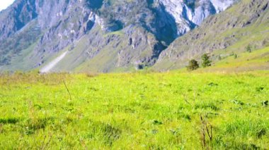 Sırt çantası ile yeşil dağ çayır üzerinde yürüyen adam hiking. Yaz spor ve eğlence kavramı.