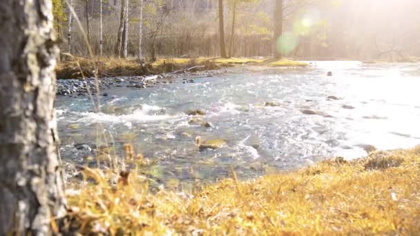 森の近くの山の川で水しぶきのドリースライダーショット。ぬれた岩や太陽の光線。水平安定運動. — ストック動画