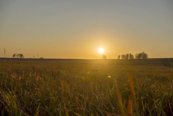 Плоский пагорб луговий часовий пояс в літній час заходу сонця. Дика природа та сільське трав'яне поле. Сонячні промені та дерева. Моторизований ляльковий повзунок — стокове відео