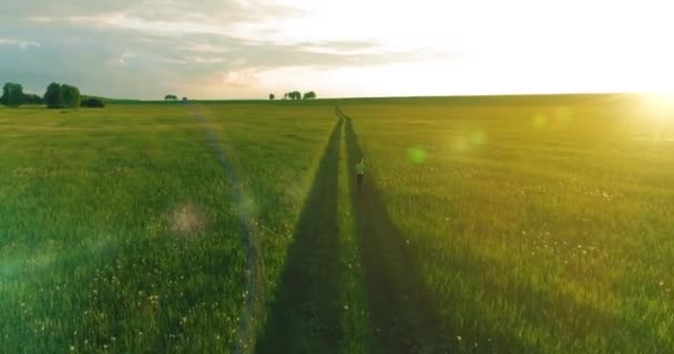 Sportigt barn springer genom ett grönt vetefält. Kvällsträning på landsbygden. En lycklig barndom är ett hälsosamt sätt att leva. Radiella rörelser, solstrålar och gräs. — Stockvideo