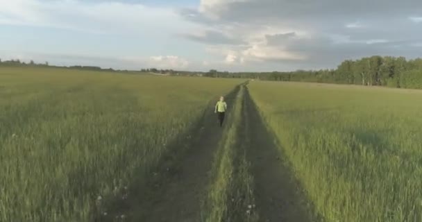 Sportief kind loopt door een groen tarweveld. Avond sport training oefeningen op het platteland weide. Een gelukkige jeugd is een gezonde manier van leven. Radiale beweging, zonnestralen en gras. — Stockvideo