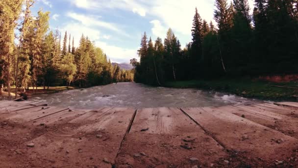 Pradera en la orilla del río de montaña. Paisaje con hierba verde, pinos y rayos de sol. Movimiento en la muñeca deslizante motorizada. — Vídeo de stock