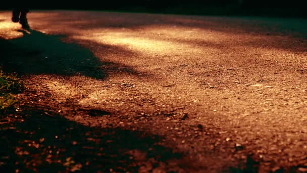 Sport man running at asphalt road. Rural city park. Green tree forest and sun rays on horizon. — Stock Video